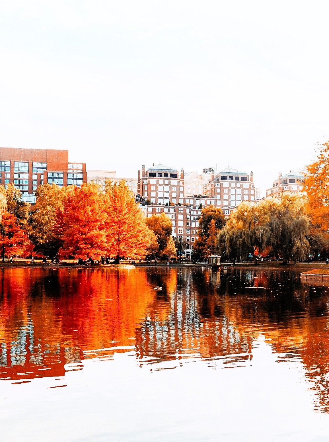 Lifestyle Blogger Chocolate & Lace shares her trip to Boston, MA in the fall